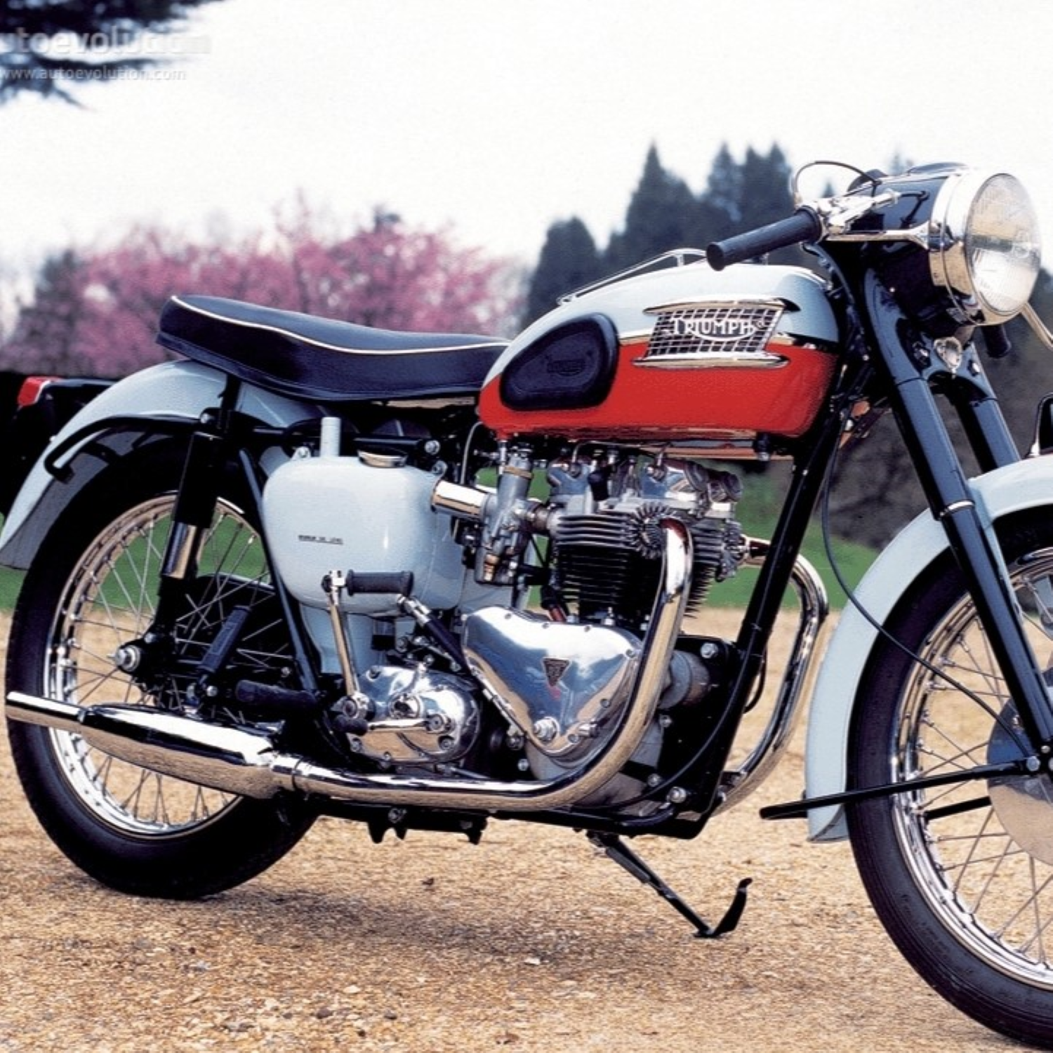 Triumph Tangerine (1960s to 1970s) Paint Product